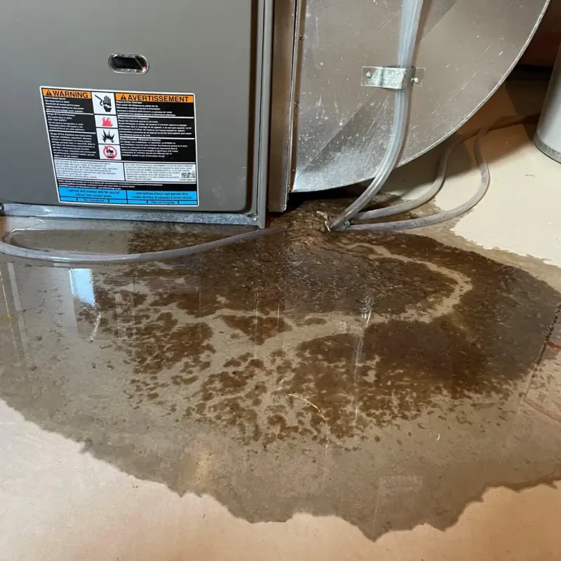 Appliance Leak Cleanup in Kemper County, MS